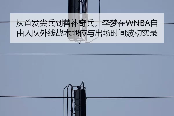 cong-shou-fa-jian-bing-dao-ti-bu-qi-bing-li-meng-zai-zi-you-ren-dui-wai-xian-zhan-shu-di-wei-yu-chu-chang-shi-jian-bo-2-695.jpg
